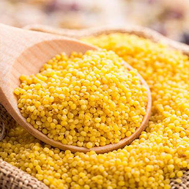 【搭把手】册亨优选小米*2袋 商品图2