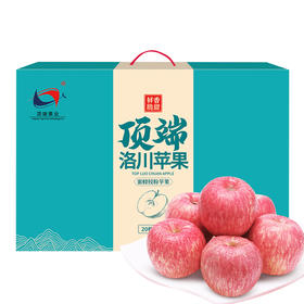 【顶端果业20枚80】陕西洛川红富士苹果水果20枚80mm中果