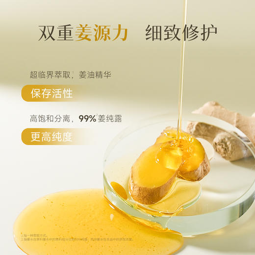 【热卖爆款】FicceCode臻萃生姜洗发水300ml 生姜精华洗发水300ml sy 商品图2