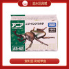安利亚动物ANI-908531安利亚-彩虹甲虫 商品缩略图0