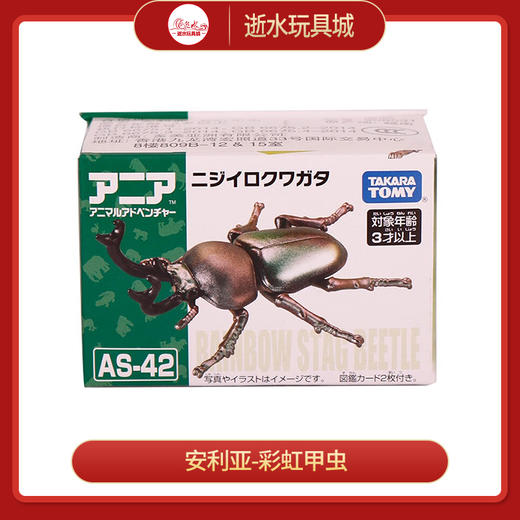 安利亚动物ANI-908531安利亚-彩虹甲虫 商品图0