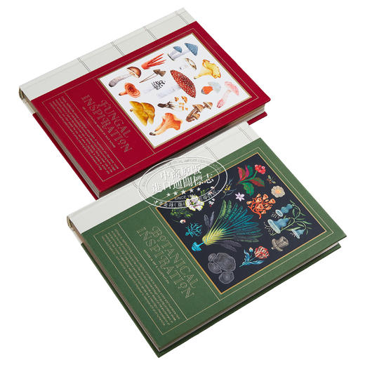 【中商原版】Victionary自然艺术插画套装（共两本）进口艺术 Victionary 商品图1