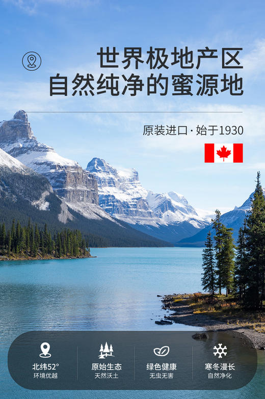 加拿大原产白蜜 原蜜 获多项国际大赛金奖 一年只产一次 粘稠香甜 无任何添加 原装进口 包邮 |百里食 商品图12