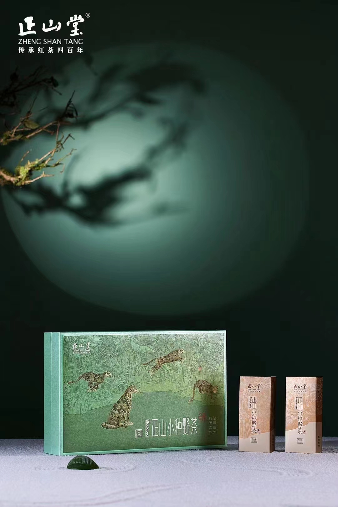 【正山堂正山小种野茶礼盒】特级红茶/宋风雅韵/礼盒装/100g