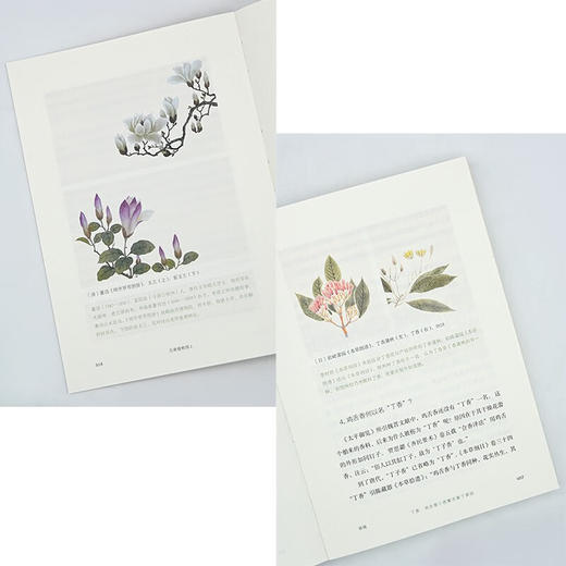 古典植物园2：传统文化中的草木之美（自然感悟） 汤欢 著 商务印书馆 商品图5