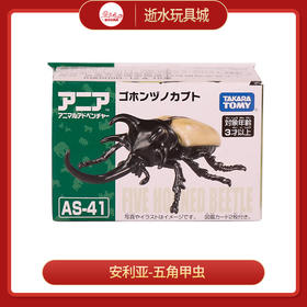 安利亚动物ANI-908524安利亚-五角甲虫