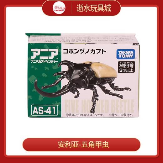 安利亚动物ANI-908524安利亚-五角甲虫 商品图0