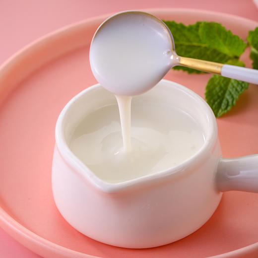 【自营】祝你轻安植物酸奶粉酸奶机 自制DIY发酵酸奶原料 商品图2