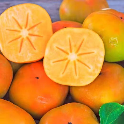 【云南蒙自糖心脆柿】顺丰到家 自然脱涩 脆甜爽口 好吃不腻 饱满厚实 果形端正 现摘现发 3种规格任选 商品图0