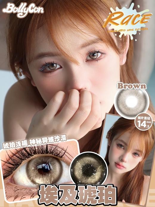 bollycon 波斯来电/威廉海兔/埃及琥珀/热带曼巴 14.5mm 灰/蓝/棕/绿 年抛 商品图7