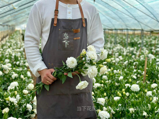 【超大份量洋桔梗】一束约40朵/份 随机至少3个品种 商品图3