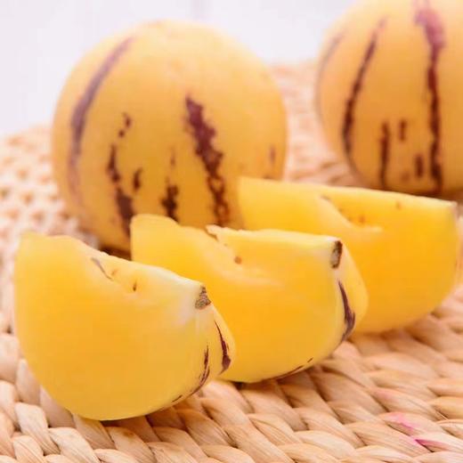 人参果 商品图0