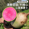 密云农家自种心里美萝卜350g/个   绿皮红心  清脆不辣心   老品种  适合生吃凉拌 商品缩略图0