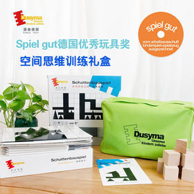 Dusyma 儿童玩具 空间思维训练礼盒