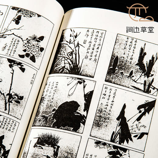 【绝版好书】《八大山人书艺之研究》32开220页，1993年台文史哲初版 商品图5