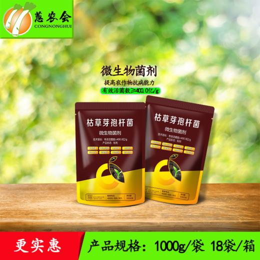 【枯草】枯草芽孢杆菌400亿/克 商品图2