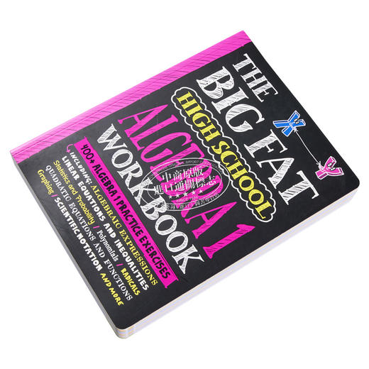 【中商原版】学霸笔记 获得A的方法练习册 代数I 高中篇 The Big Fat High School Algebra 1 Workbook 英文原版 高中数学 商品图2