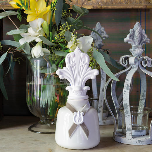 MM鸢尾礼赞散香器 200ml阿斯特女神香型 商品图2