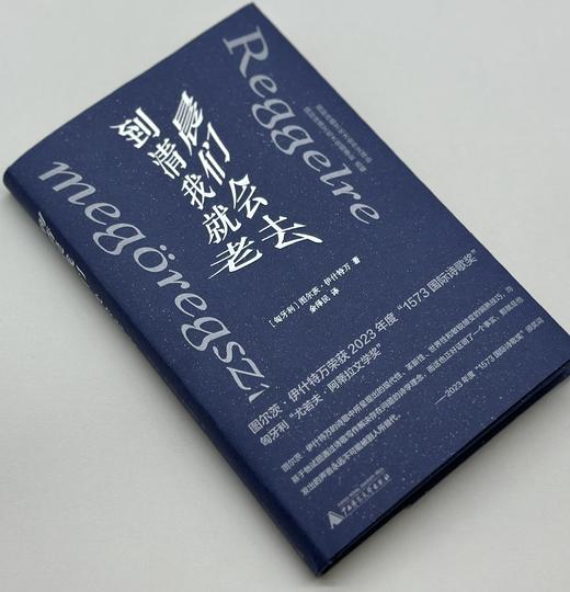 【书香卡专区】纯粹· 到清晨我们就会老去 （匈）图尔茨·伊什特万/著 余泽民/译 商品图2