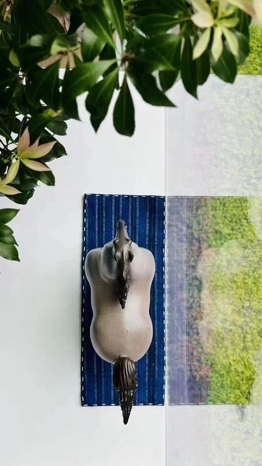 王大朋《云起》99版 商品图2