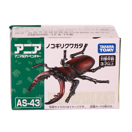 安利亚动物ANI-908548安利亚-锯齿瓢虫 商品图1