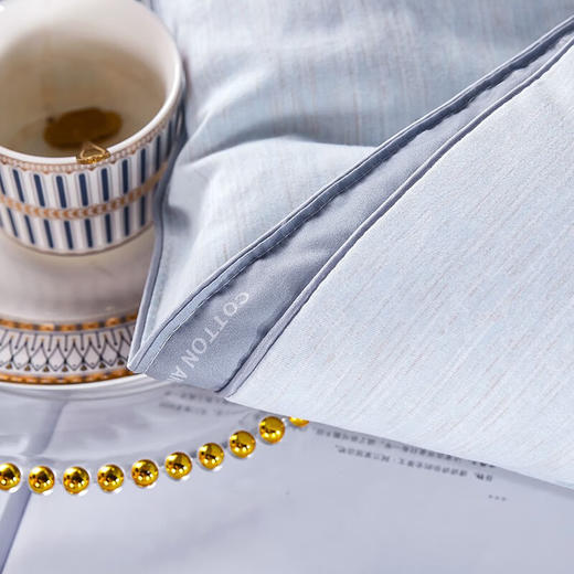 南方生活	A类棉有奶蛋白印花冬被	200*230cm 商品图4