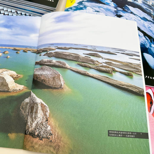 《十万个为什么（第六版珍藏版）》（全72册） 商品图8