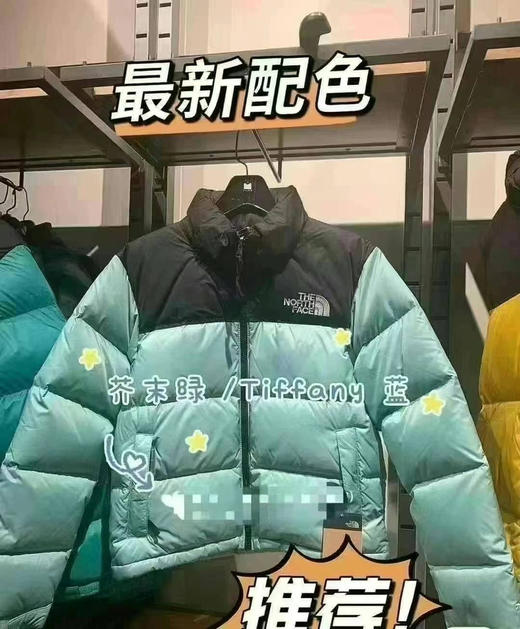 断码清仓5折！The North Face 北面1996女款羽绒服 商品图3