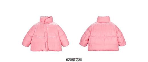 jnby  23年冬款  短款羽绒服  1NAC12800 商品图14