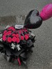 展望爱情 · 花束 商品缩略图2