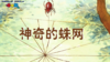 2023年8月 动画  神奇的蛛网 商品缩略图0