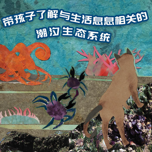 诺贝尔科学馆：到海边去（精） 商品图4