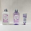 【品牌授权】欧舒丹白色薰衣草香氛套装 赵露思同款 沐浴露250ml、润肤乳250ml、护手霜30ml 商品缩略图2