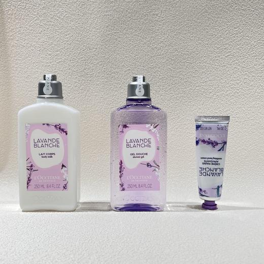【品牌授权】欧舒丹白色薰衣草香氛套装 赵露思同款 沐浴露250ml、润肤乳250ml、护手霜30ml 商品图2