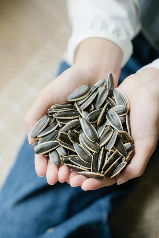 【非物质文化遗产中国地理标志】内蒙巴盟原味瓜子 每颗约2.6厘米以上 商品图6