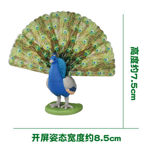 安利亚动物ANI-225362安利亚-孔雀 商品图4