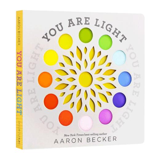 英文原版绘本 You Are Light 颜色光线 你说光 英文版 透明片纸板书 洞洞书 不可思议的旅程作者 Aaron Becker 商品图1