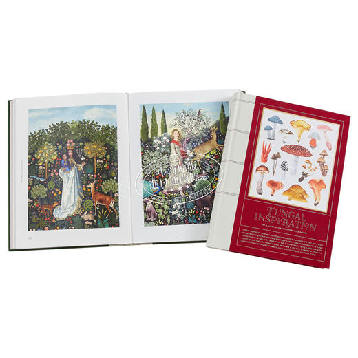 【中商原版】Victionary自然艺术插画套装（共两本）进口艺术 Victionary 商品图2