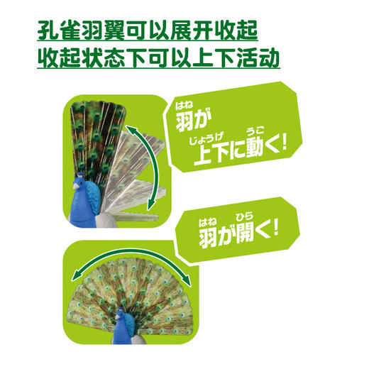 安利亚动物ANI-225362安利亚-孔雀 商品图3