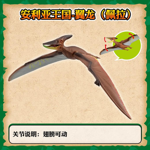 安利亚动物ANI-900641安利亚王国-翼龙 (佩拉) 商品图2