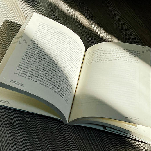 以儿童为中心的课程 欢乐谷课程的旨趣与维度 品质课程实验研究丛书 特色课程建设 学校特色文化构建 小学案例 华东师大出版社 商品图7