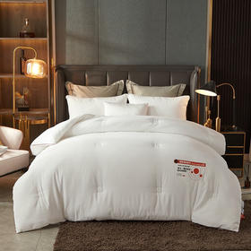 南方生活	蓄能强力发热立体科技冬被	200*230cm