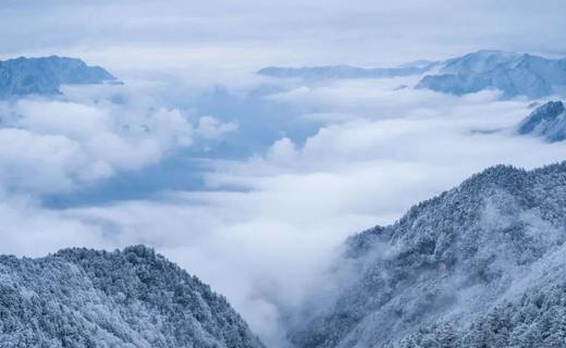 限时早鸟减700元，12.16截止【2026寒假 | 神农架5天4晚冰雪亲子营】南方滑雪性价比之王！玩转世遗景区，2大雪场，高铁方便，温度友好！探秘三峡、金丝猴，五钻酒店连住不挪窝 商品图7