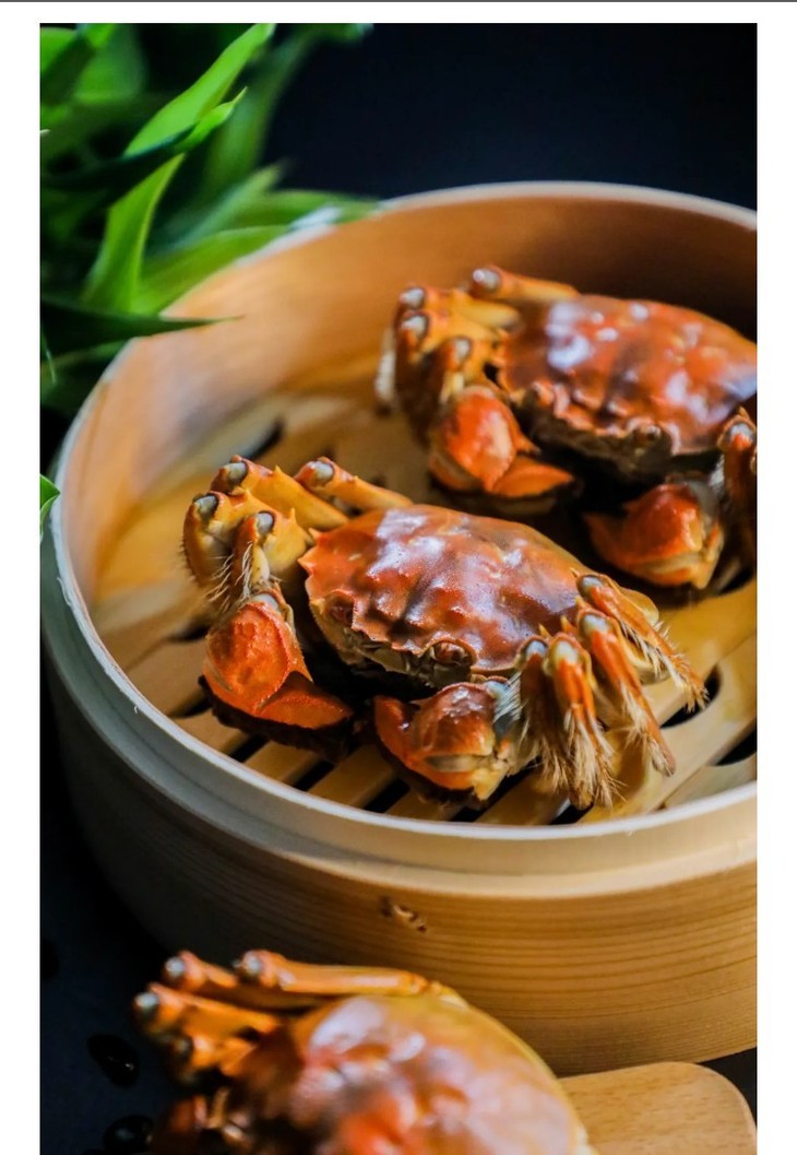 2023年菊蟹堂阳澄湖中华金丝绒毛蟹 黄鲜肉饱满,养殖三年,产地直发.