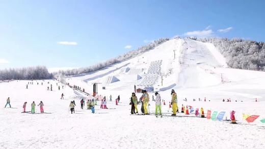 限时早鸟减700元，12.16截止【2026寒假 | 神农架5天4晚冰雪亲子营】南方滑雪性价比之王！玩转世遗景区，2大雪场，高铁方便，温度友好！探秘三峡、金丝猴，五钻酒店连住不挪窝 商品图10