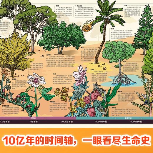 时间图谱百科全书·墙书：100种恐龙的秘密/100种植物的秘密 /100种动物秘密 /100种虫子秘密【共4册】7-10岁 1.8米的彩绘长卷，如同挂在墙上的博物馆 商品图3