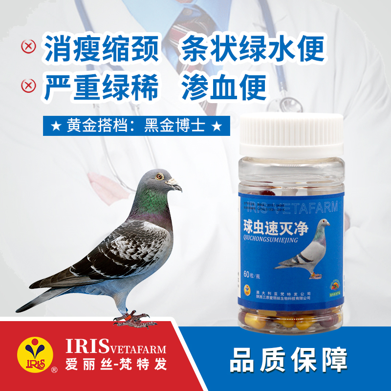 球虫速灭净（胶囊）