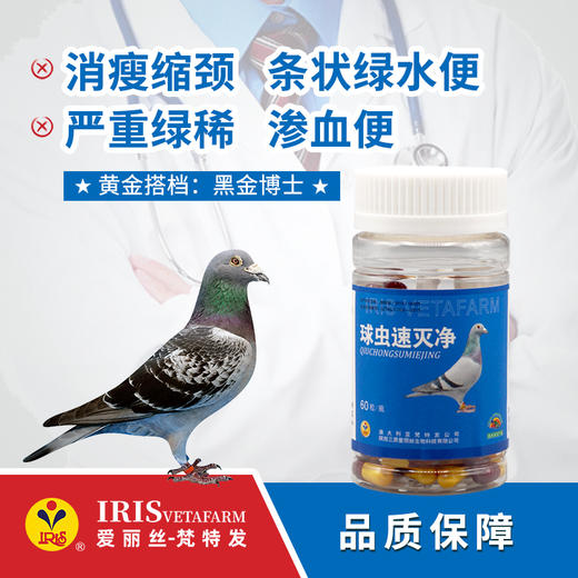 球虫速灭净（胶囊） 商品图0