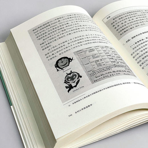 乡村小学英语教学 乡村教师培训丛书 小学英语教育 一线教学实践案例 新基础教育 正版 华东师范大学出版社 商品图13