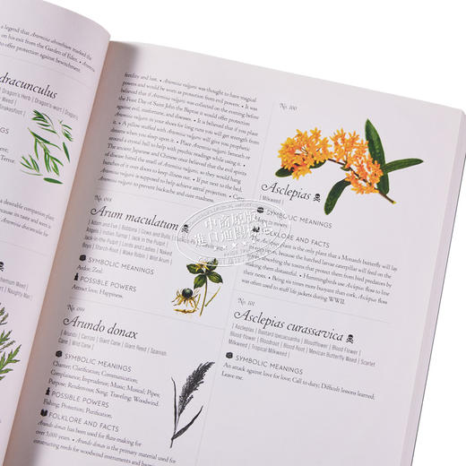 【中商原版】插图百科全书系列 花的完整语言 花语 The Complete Language of Flowers 英文原版 S Theresa Dietz 商品图2